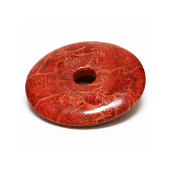 Koralle