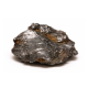Meteorit
